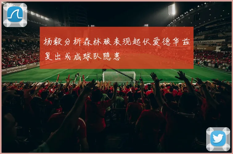 杨毅分析森林狼表现起伏爱德华兹复出或成球队隐患