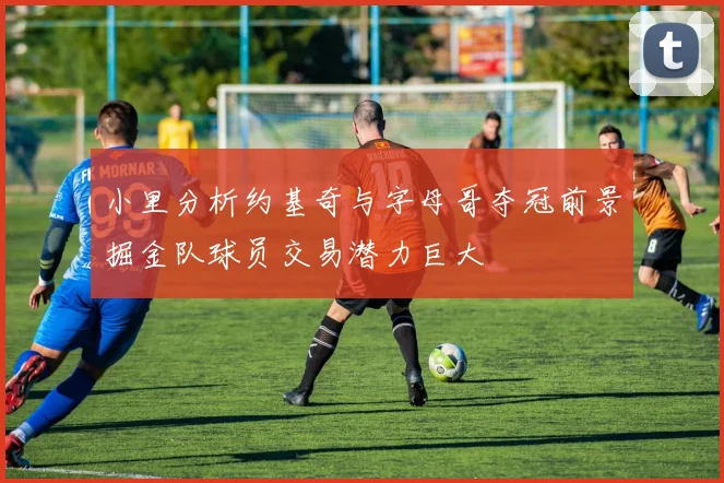 小里分析约基奇与字母哥夺冠前景掘金队球员交易潜力巨大