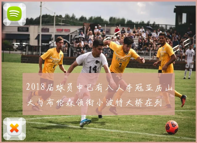 2018届球员中已有八人夺冠亚历山大与布伦森领衔小波特大桥在列