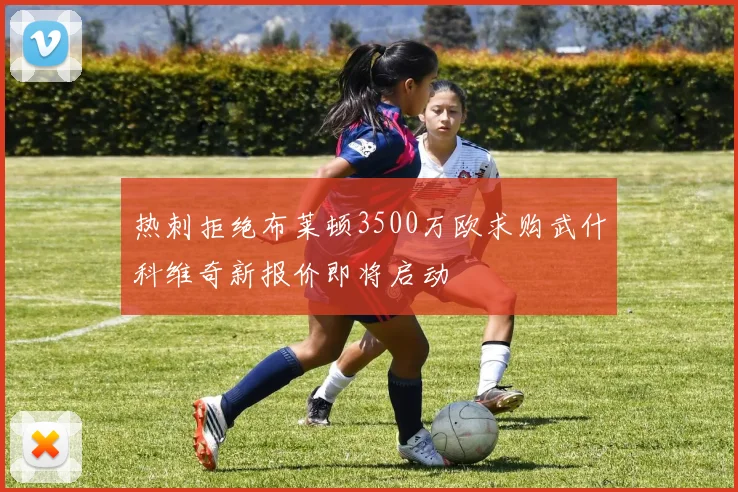热刺拒绝布莱顿3500万欧求购武什科维奇新报价即将启动