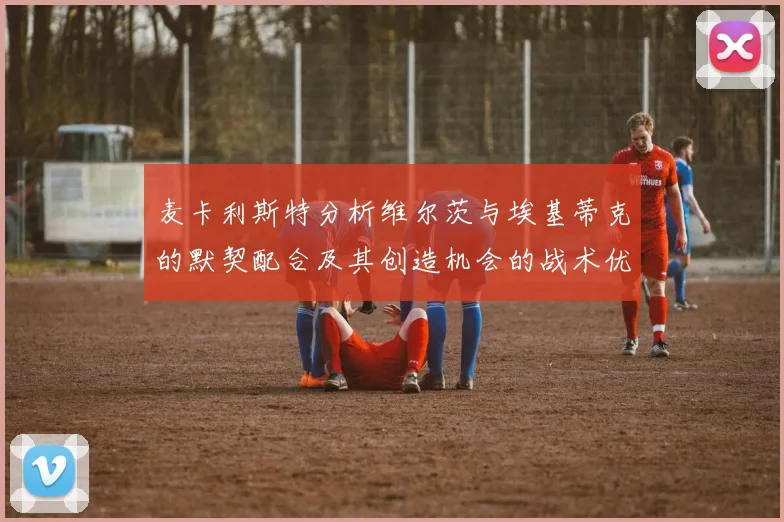 麦卡利斯特分析维尔茨与埃基蒂克的默契配合及其创造机会的战术优势